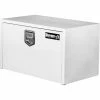 Buyers Products Buyers Steel Underbody Truck Box w/ Stainless Steel Rotary Paddle - White 18x18x30 - 1702203